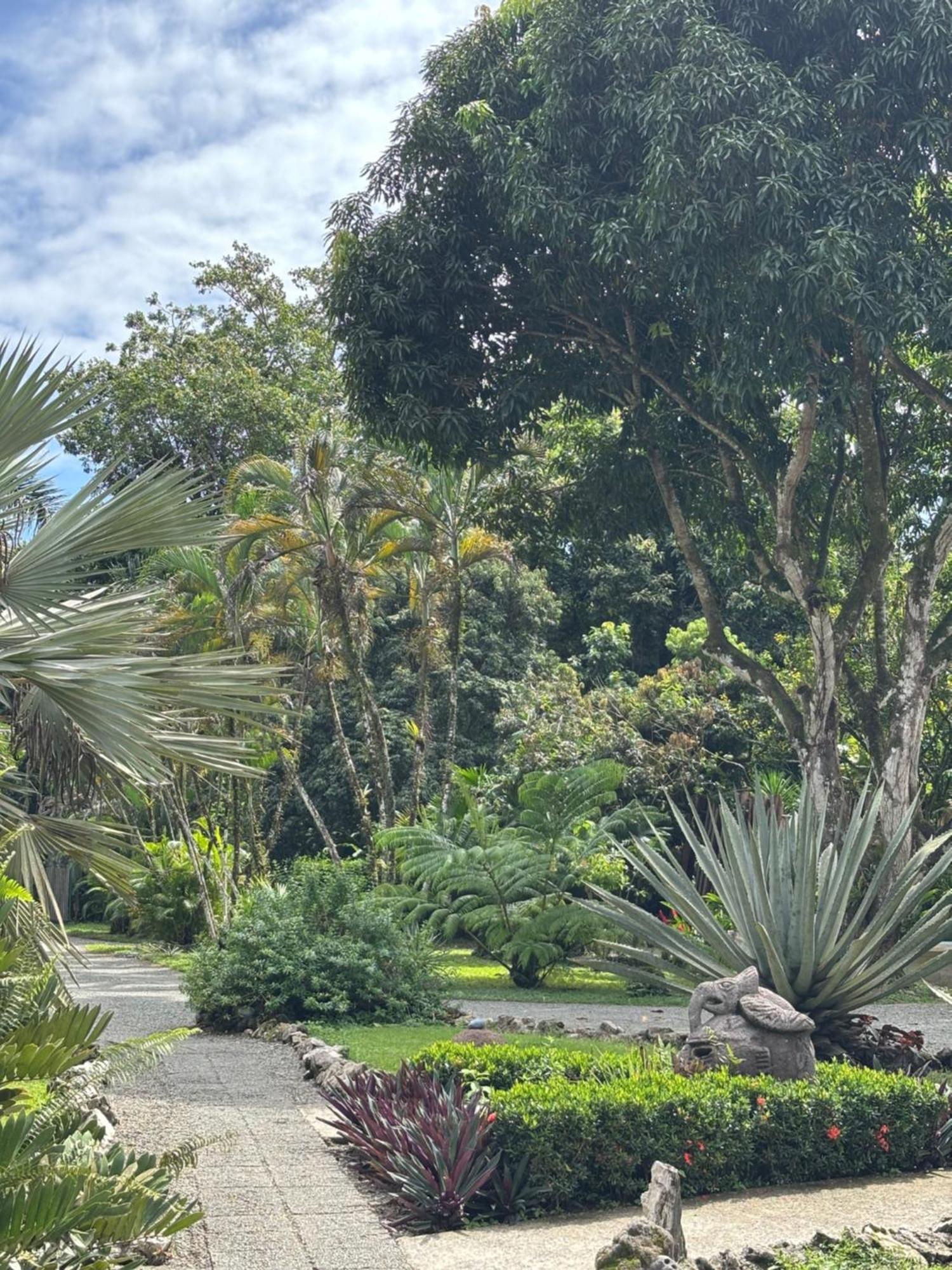 Hotel Suizo Loco Lodge & Resort Cahuita Kültér fotó
