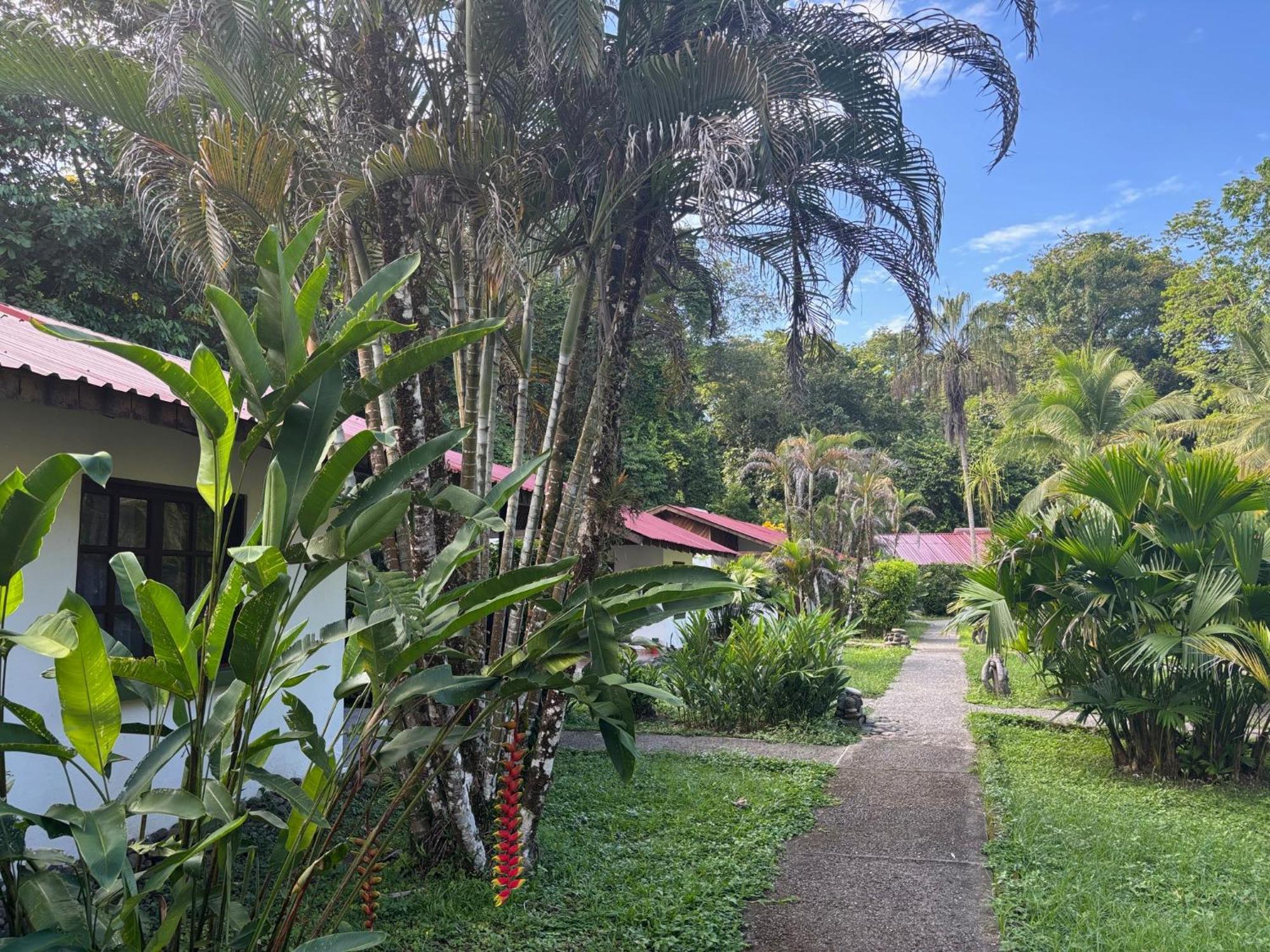 Hotel Suizo Loco Lodge & Resort Cahuita Kültér fotó