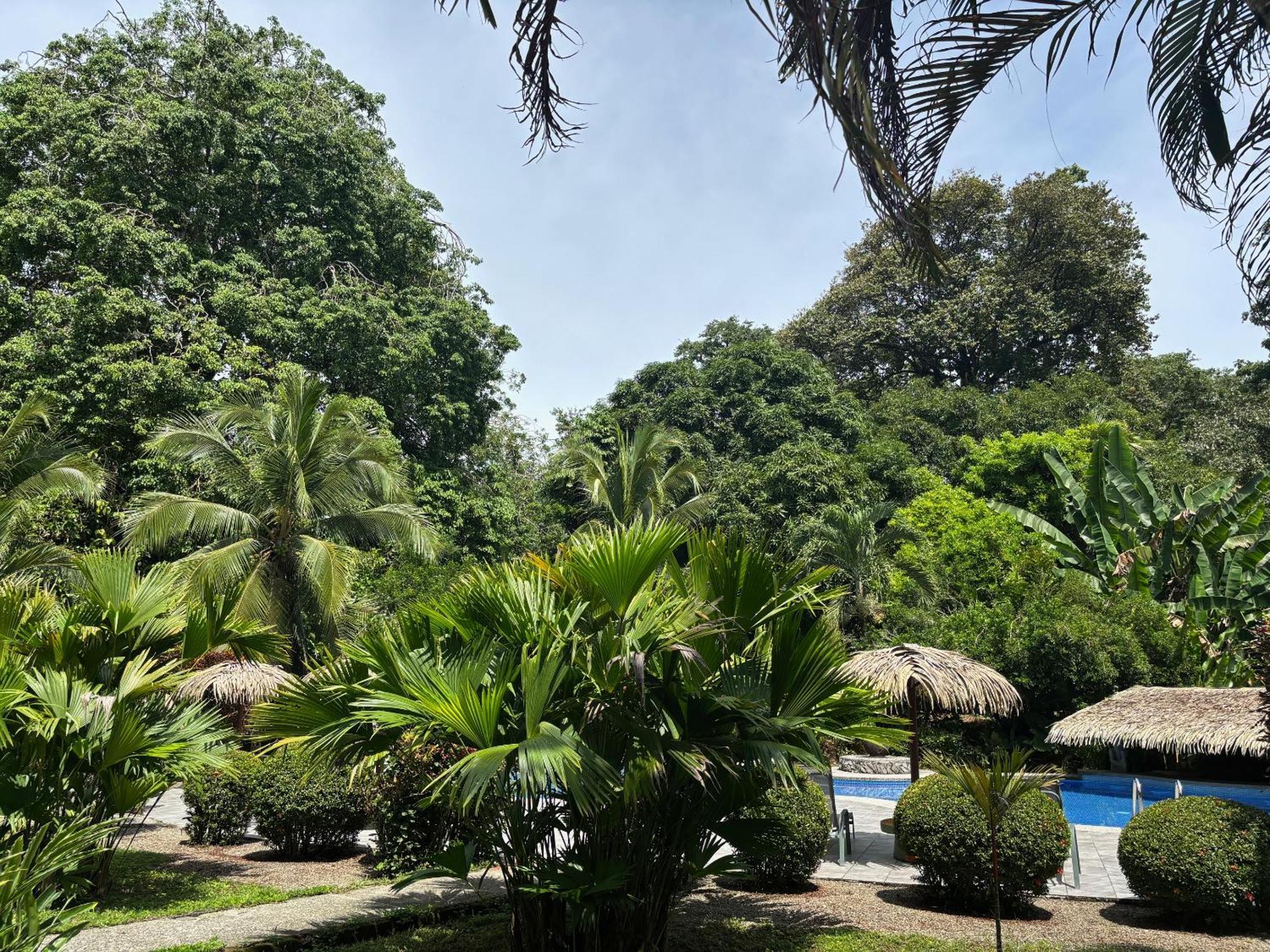 Hotel Suizo Loco Lodge & Resort Cahuita Kültér fotó